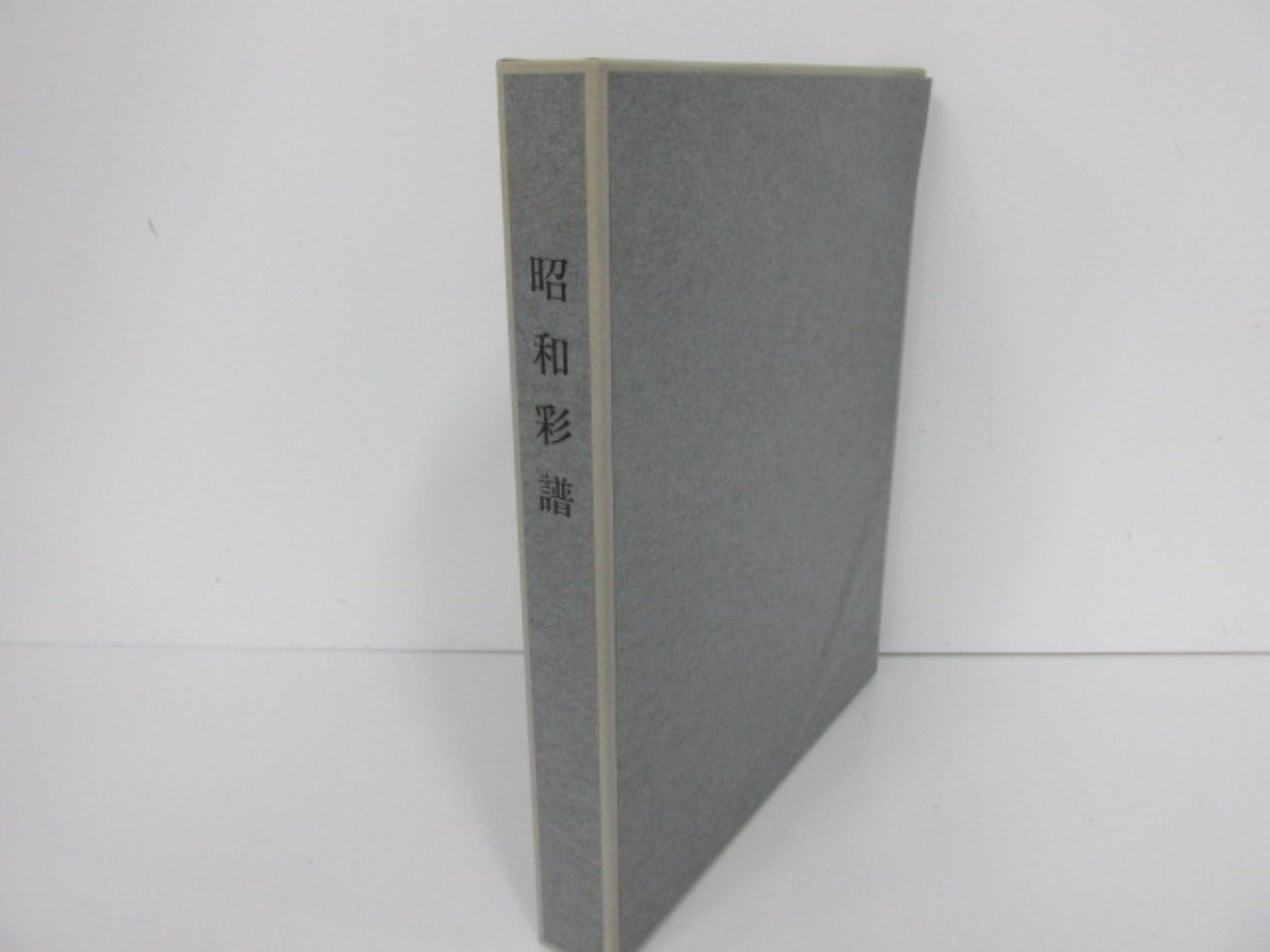 ▼　【昭和彩譜 建築と軌跡の世相 シーアイ化成 1990】080-02301_画像1