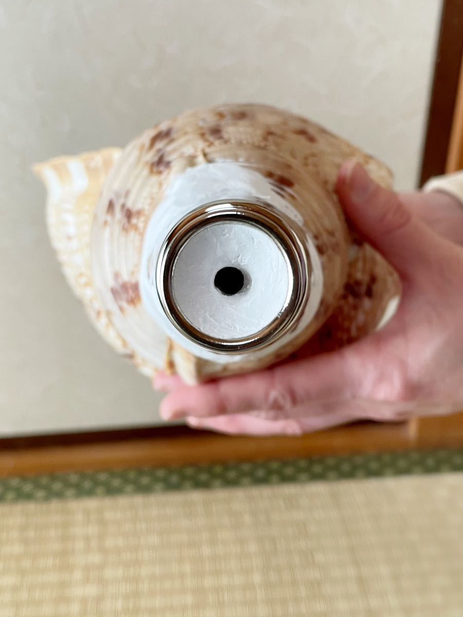 大型修験道法螺貝 山伏 密教 魔除け 熊よけ(新品)のヤフオク落札情報