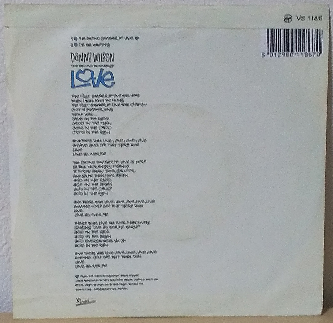 Danny Wilson - The Second Summer Of Love UK盤 7inch Virgin - VS 1186 1989年_画像2