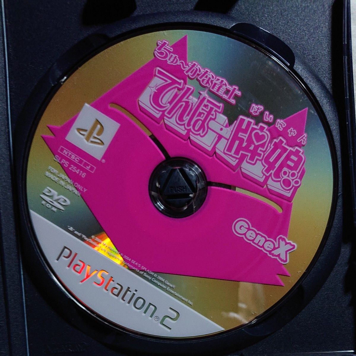 PS2 ちゅ～かな雀士 てんほー牌娘 説明書欠品 動作確認済み  PS2ソフト