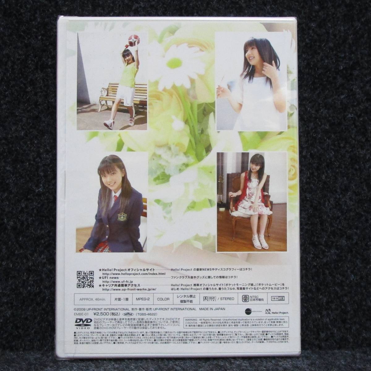 [DVD] 未開封 真野恵里菜 デビューコンサート プロローグ 乙女の祈り DVD PAMPHLET_画像2