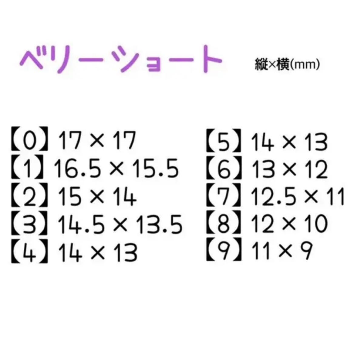 ネイルチップ 秋ネイル レオパード柄 No.70 チップシール付き