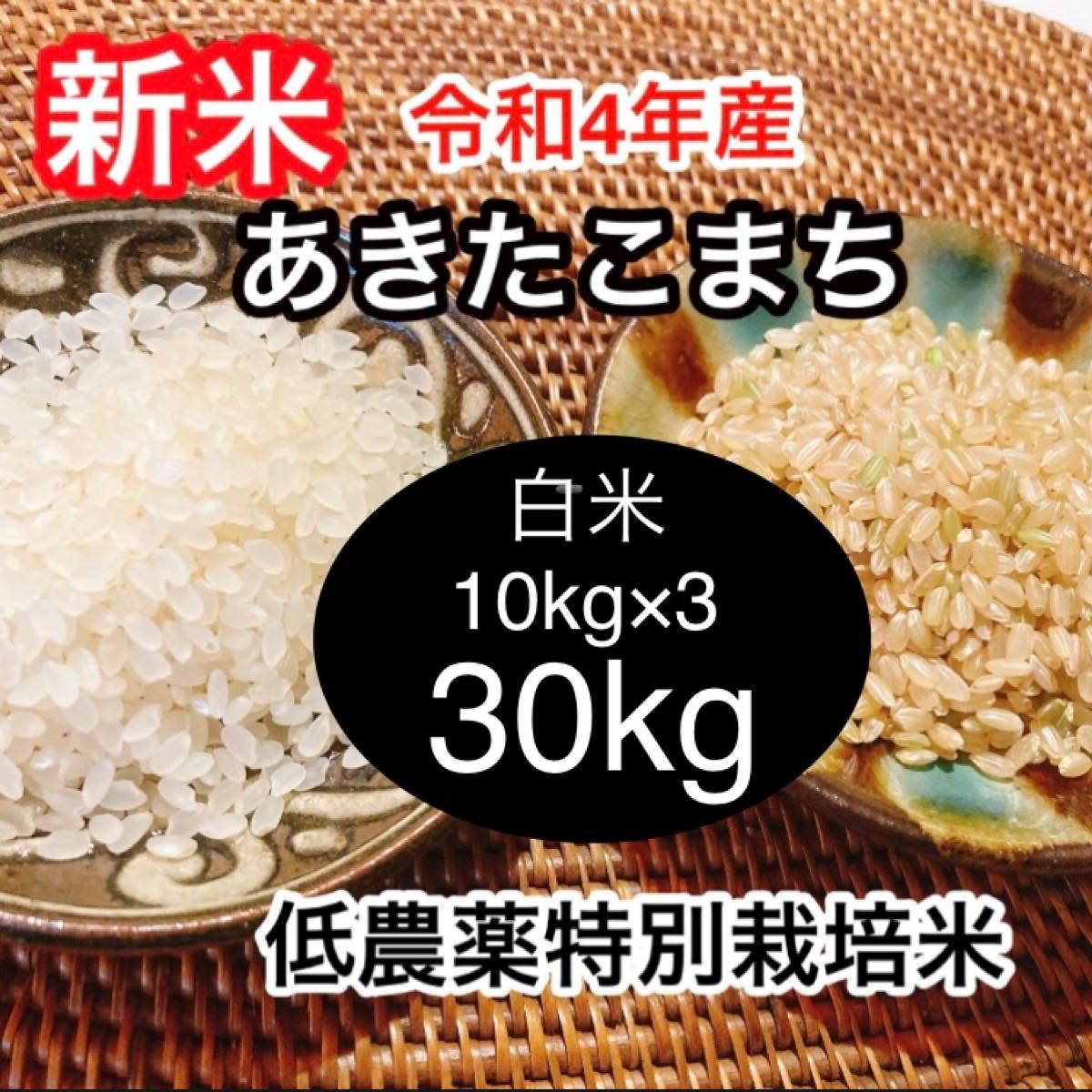 a.お試し品有機肥料使用／自然農法／コシヒカリ☆お米１キロ - 米