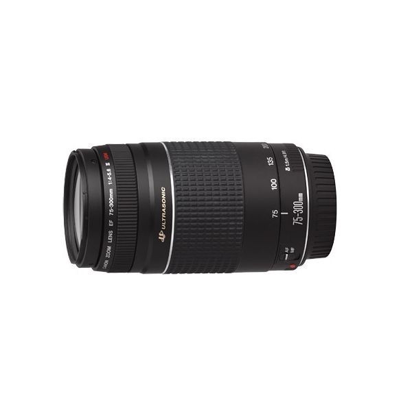 人気新作】 中古 １年保証 美品 Canon EF 75-300mm F4-5.6 III USM