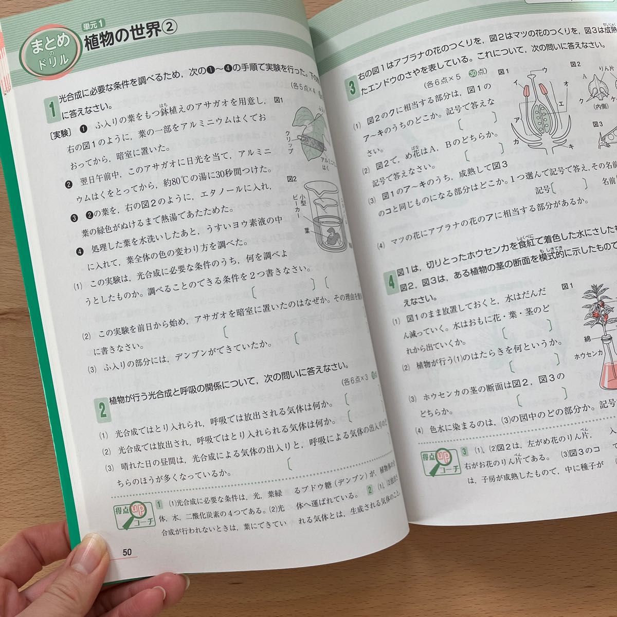 くもんの中学基礎がため100%  中1理科第2分野編(生命　地球)