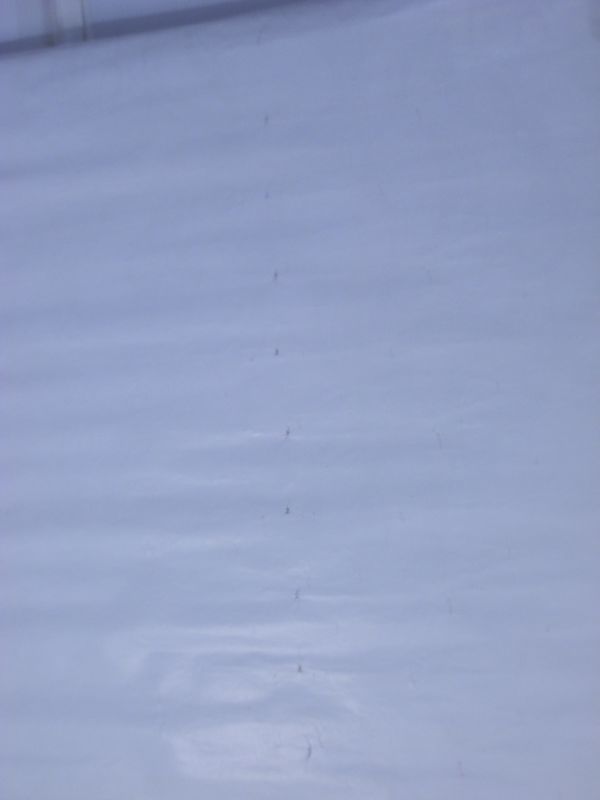 A4[ постер lB2 размер l примерно 515×728mm] The Sky Record of a War Shurat 