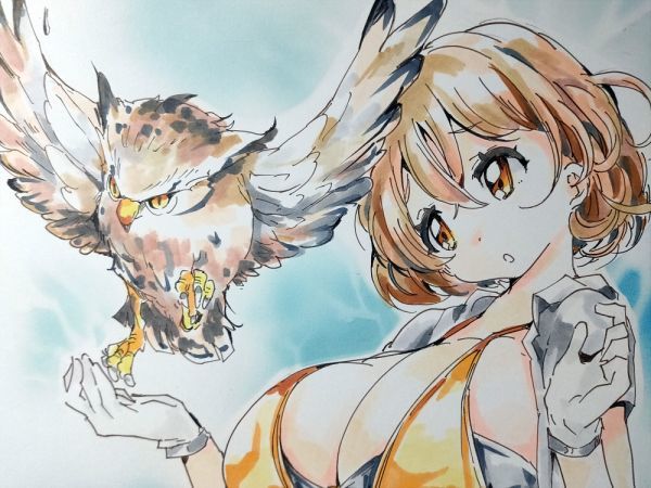 イラスト原画 怪奇の国の住人「フクロウ女」 イラスト原画 怪奇の国の住人「フクロウ女」 Yahoo!オークション