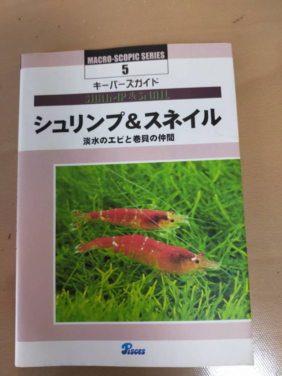 ★☆(送料込み) キーパーズガイド /シュリンプ＆スネイル /淡水のエビと巻貝の仲間 /ピーシーズ (No.3655)☆★_画像1