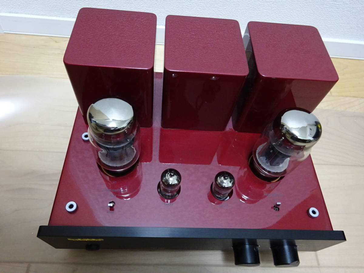 トライオード 真空管アンプ・組み立てキットTriode TRK-3488 血液検査
