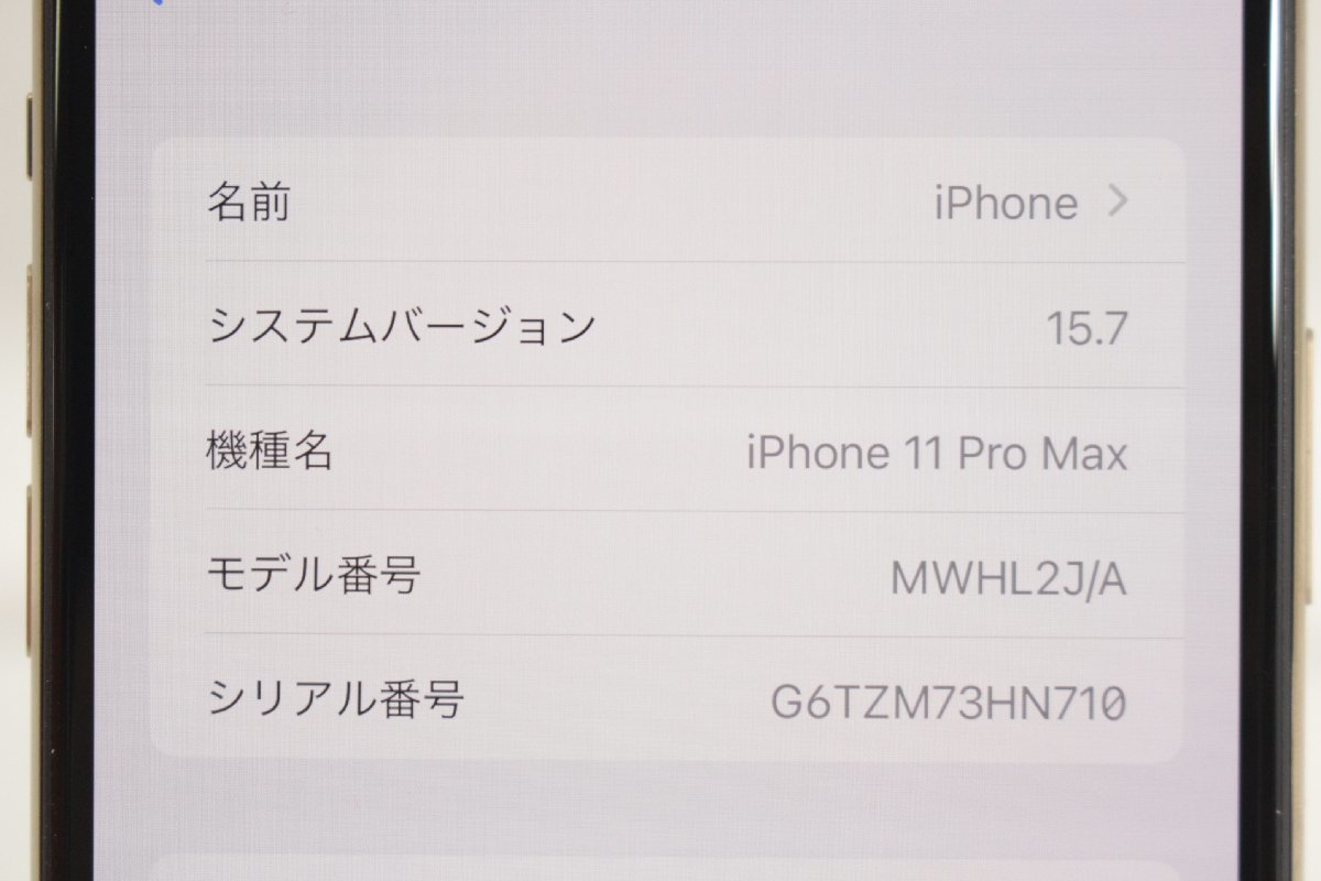 Apple iPhone11 Pro Max 256GB MWHL2J/A ゴールド docomo 〇判定 SIM