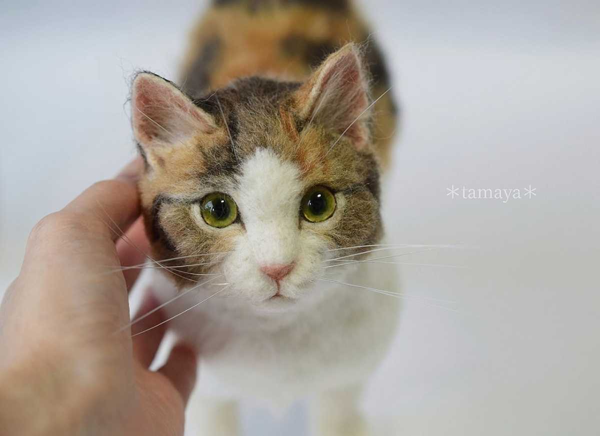 Yahoo!オークション - *tamaya*羊毛フェルト*猫*三毛猫**縞みけ