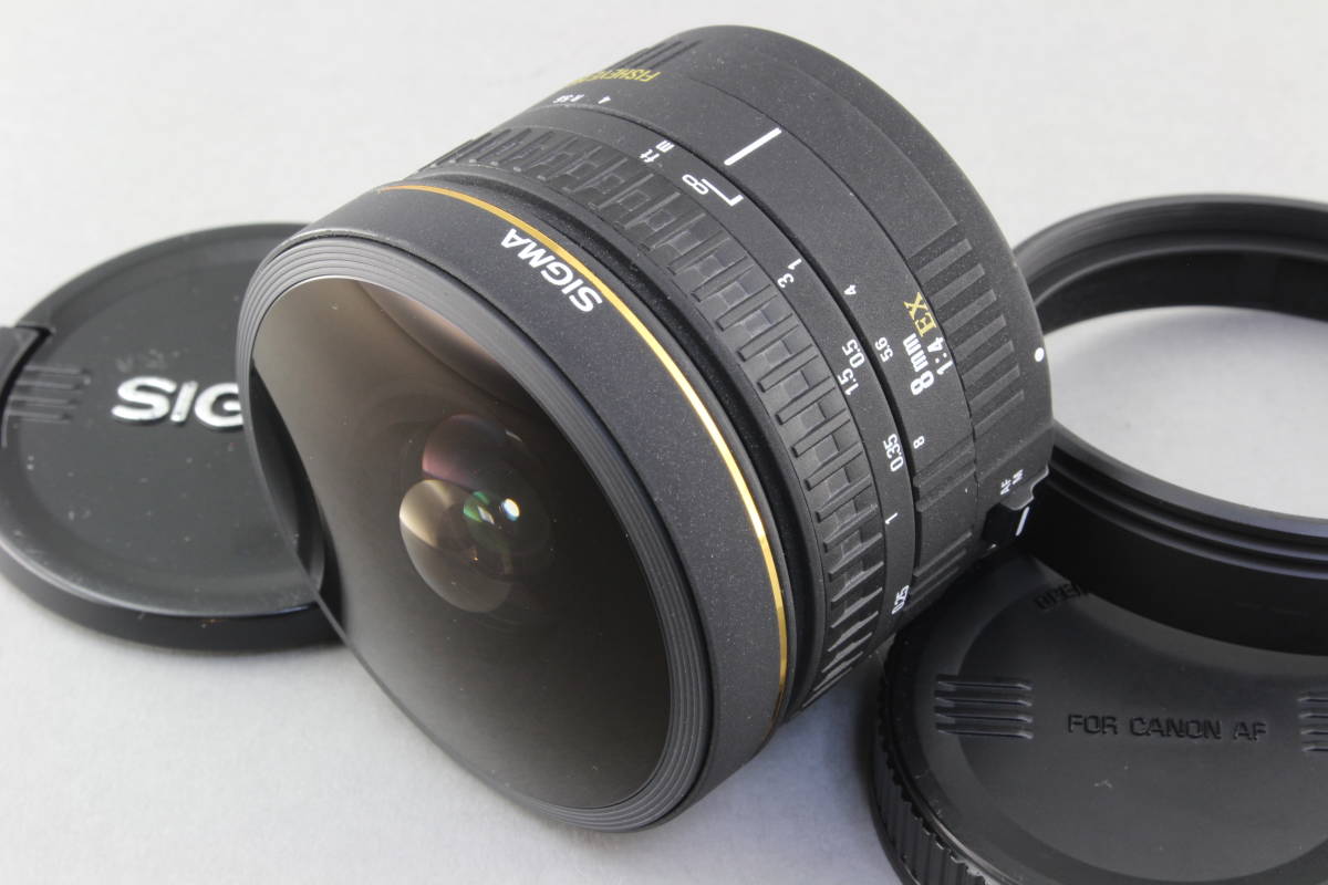 SIGMA AF 8mm F4 EX FISHEYE 180° Canon用 割引価格 iurreform.de