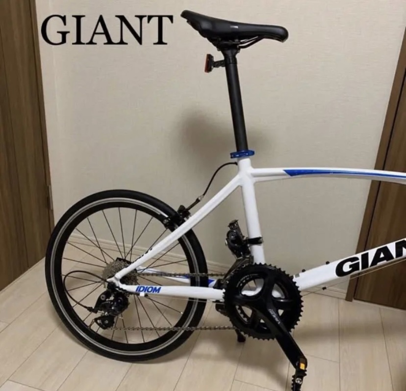 【GIANT】【IDIOM】【シュワルベデュラノ】【105】_画像3