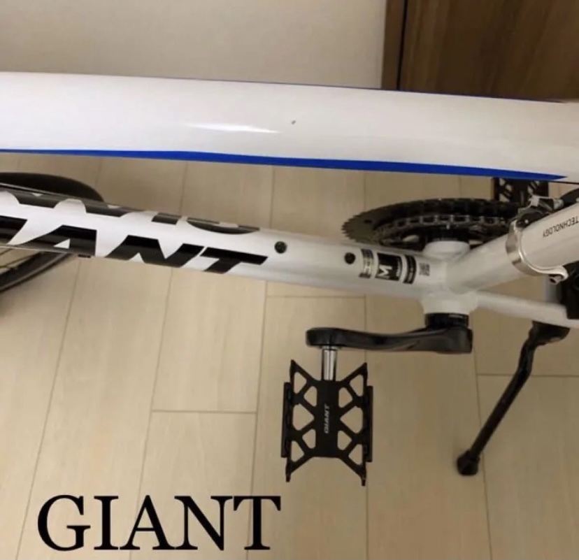 【GIANT】【IDIOM】【シュワルベデュラノ】【105】_画像9