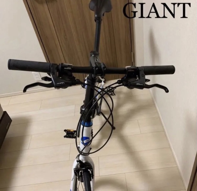 【GIANT】【IDIOM】【シュワルベデュラノ】【105】_画像5