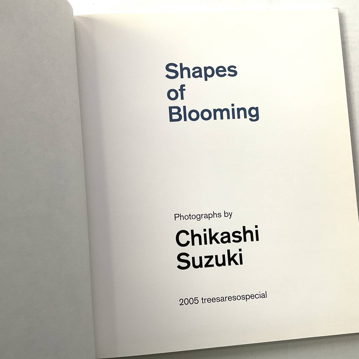 鈴木親Suzuki Chikashi / Shapes of Blooming - 本