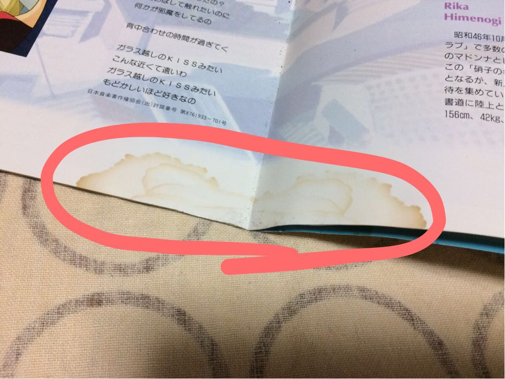 全ページ見開き中央下に染みあり