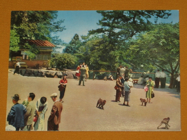  открытка с видом Ooita национальный парк Takasaki гора обе . внизу . туристический память 8 листов 