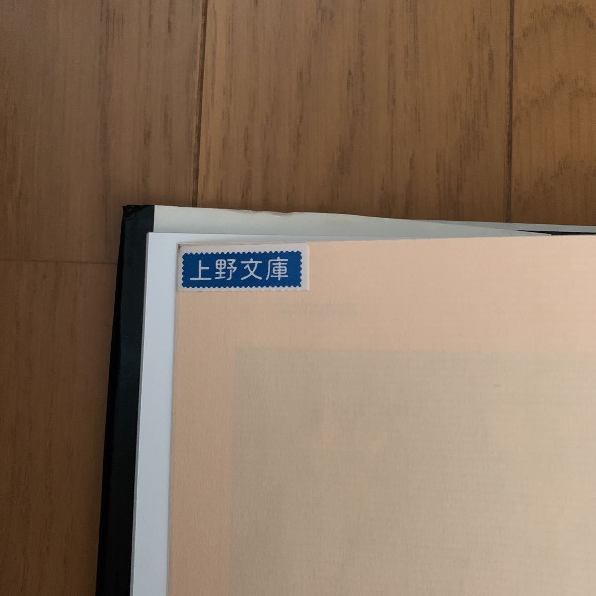 Aba Bayefsky 作品集　文身　サインあり　カナダ大使館からの御礼状あり　彫錦氏　モデル　上野文庫　購入 刺青　彫物_画像7