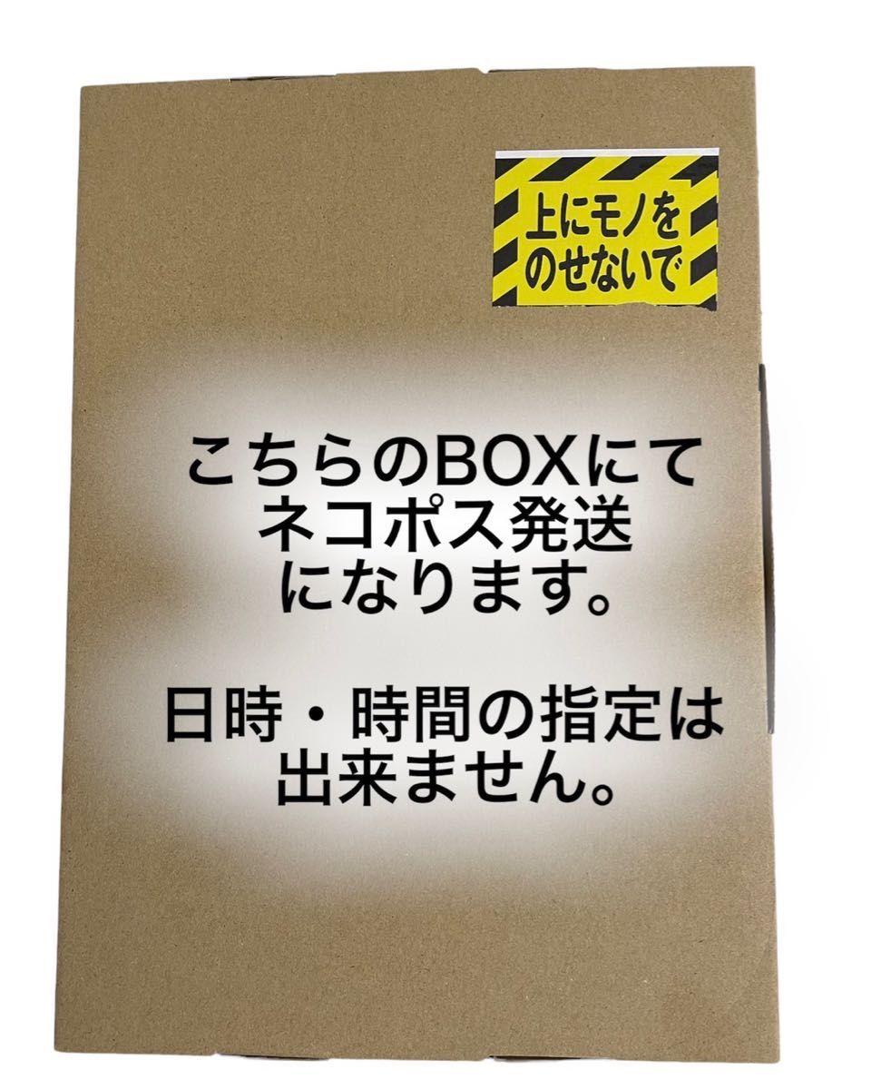 光合成細菌 PSB  ゾウリムシ 種水  エビオス錠   説明書付  エサ  めだか  針子