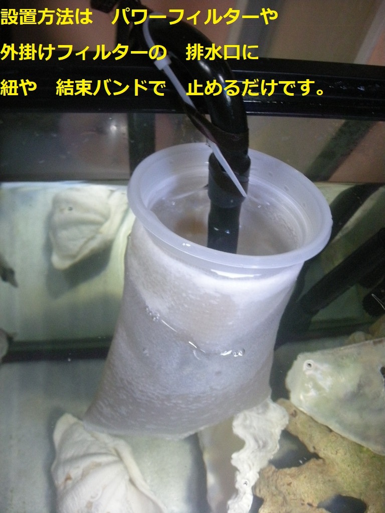 外部式対応　海水魚　サンゴ水槽　白点虫除去対策　白点キャッチャー　Lタイプ　熱帯魚　金魚　メダカ　2_画像6