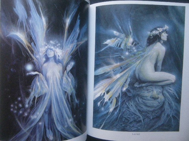 ブライアン・フラウド 妖精画集 グッド・フェアリーズ/バッド・フェアリーズ Brian Froud Good Faeries/Bad Faeries ファンタジーアート_画像2