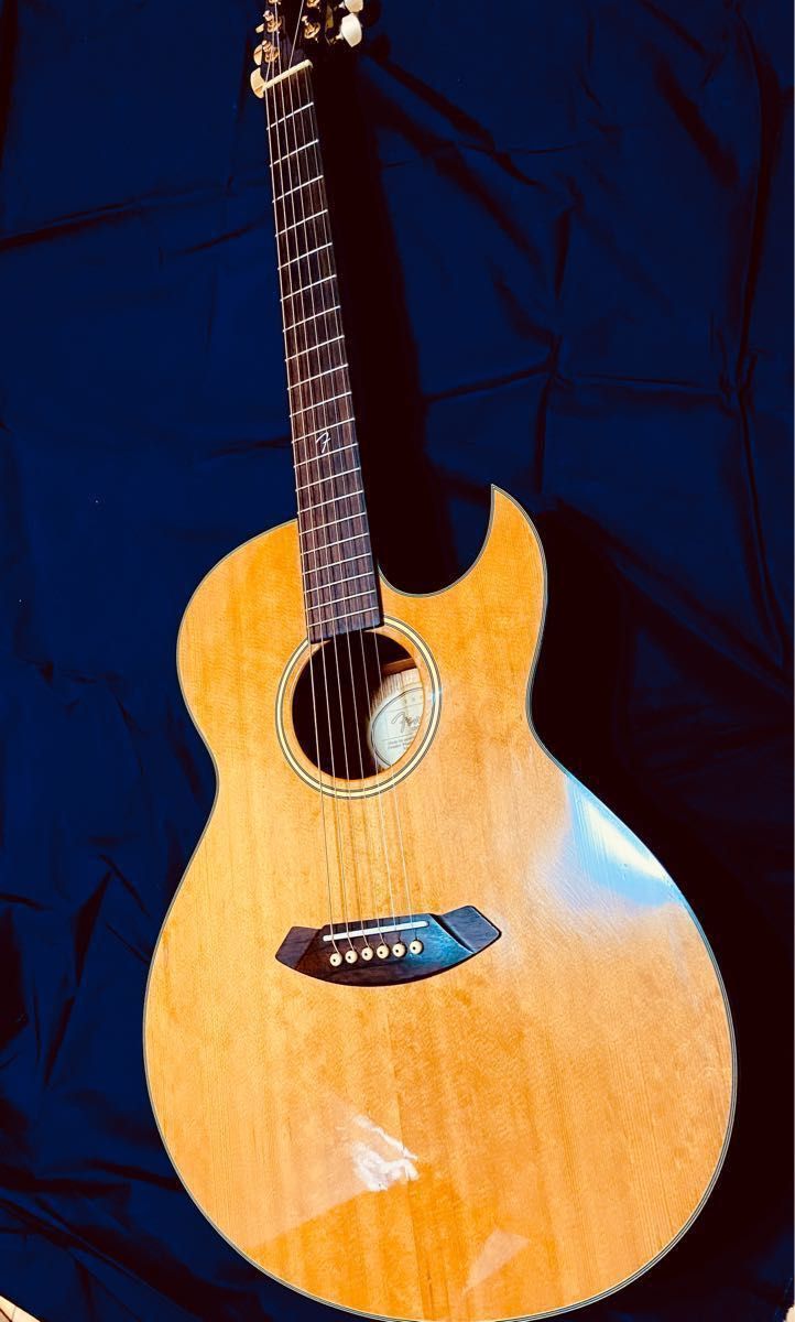 本日終了値下げ Fender GDC-200SCE エレアコ美品クリーニング済 本日終了値下げ Fender GDC-200SCE エレアコ美品クリーニング済
