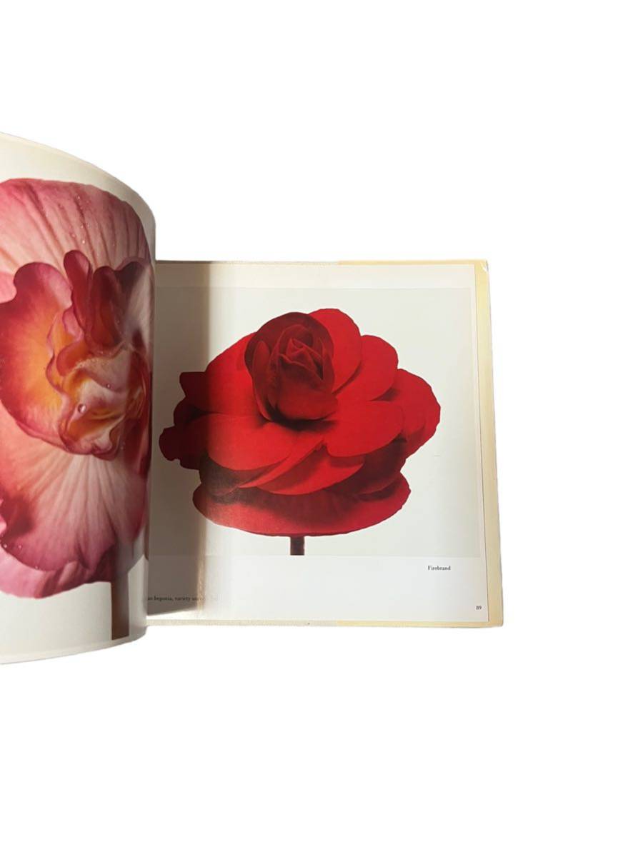 FLOWERS】Irving Penn 花の写真集 アーヴィング・ペン 洋書 フラワーズ