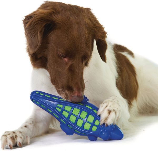 ペットステージ 犬用おもちゃ グミー・プラッシュ アリゲーター ラージ_画像1