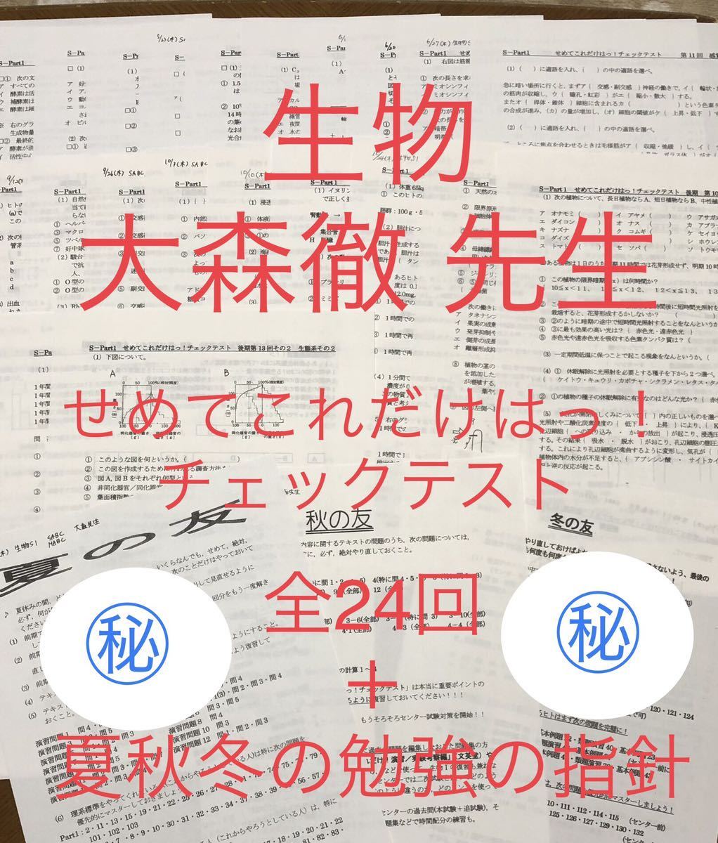 開梱 設置?無料 】 駿台 夏秋冬の勉強の指針 大森先生せめてこれだけは