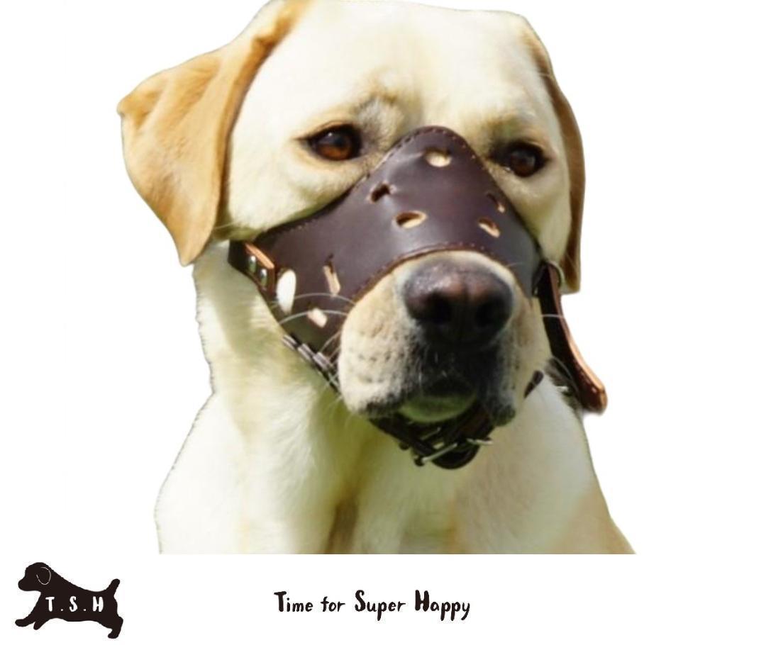  dog for mazru muzzle; ferrule (S)ma nozzle cover maz Luger do uselessness .. prevention biting attaching 