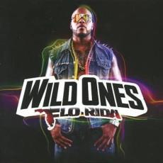 Wild Ones 輸入盤 中古 CD_画像1