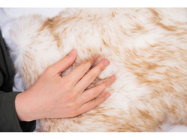 東谷 クッション ネコ ブラウン 約W50×D30×H13 TTC-401C 貓 かわいい 膝置き ファー ふわふわ ファブリック メーカー直送 送料無料