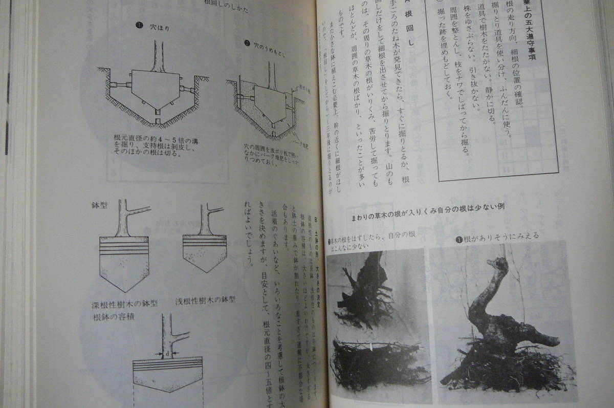 ●盆栽専科　基本技術　盆栽専科刊行会　編　自然の友社　中古本_画像4