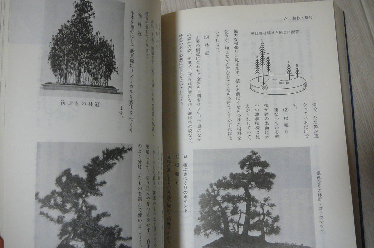 ●盆栽専科　基本技術　盆栽専科刊行会　編　自然の友社　中古本