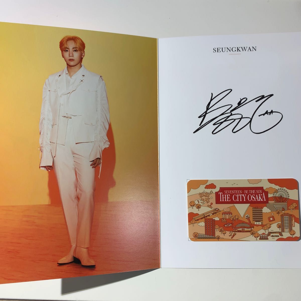 seventeen be the sun the city osaka - その他