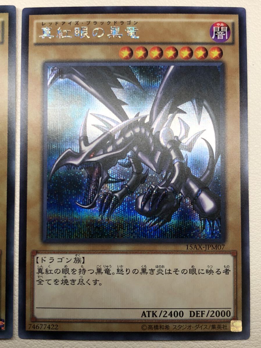 極 御三家 遊戯王 青眼の白龍 真紅眼の黒竜 ブラックマジシャン ...