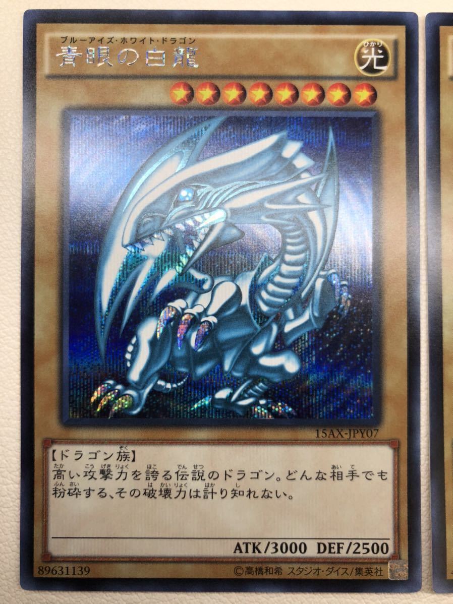 極 御三家 遊戯王 青眼の白龍 真紅眼の黒竜 ブラックマジシャン ...