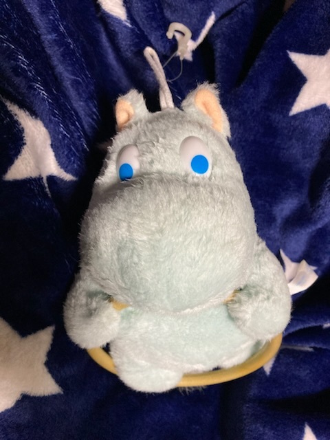 頭上から撮影