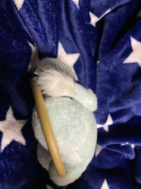 下から撮影