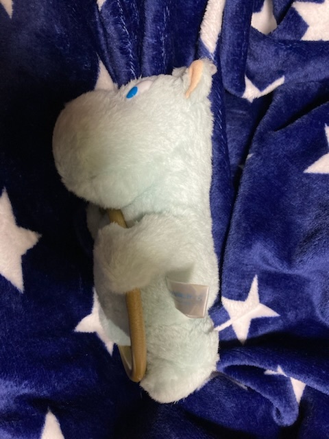 側(cè)面