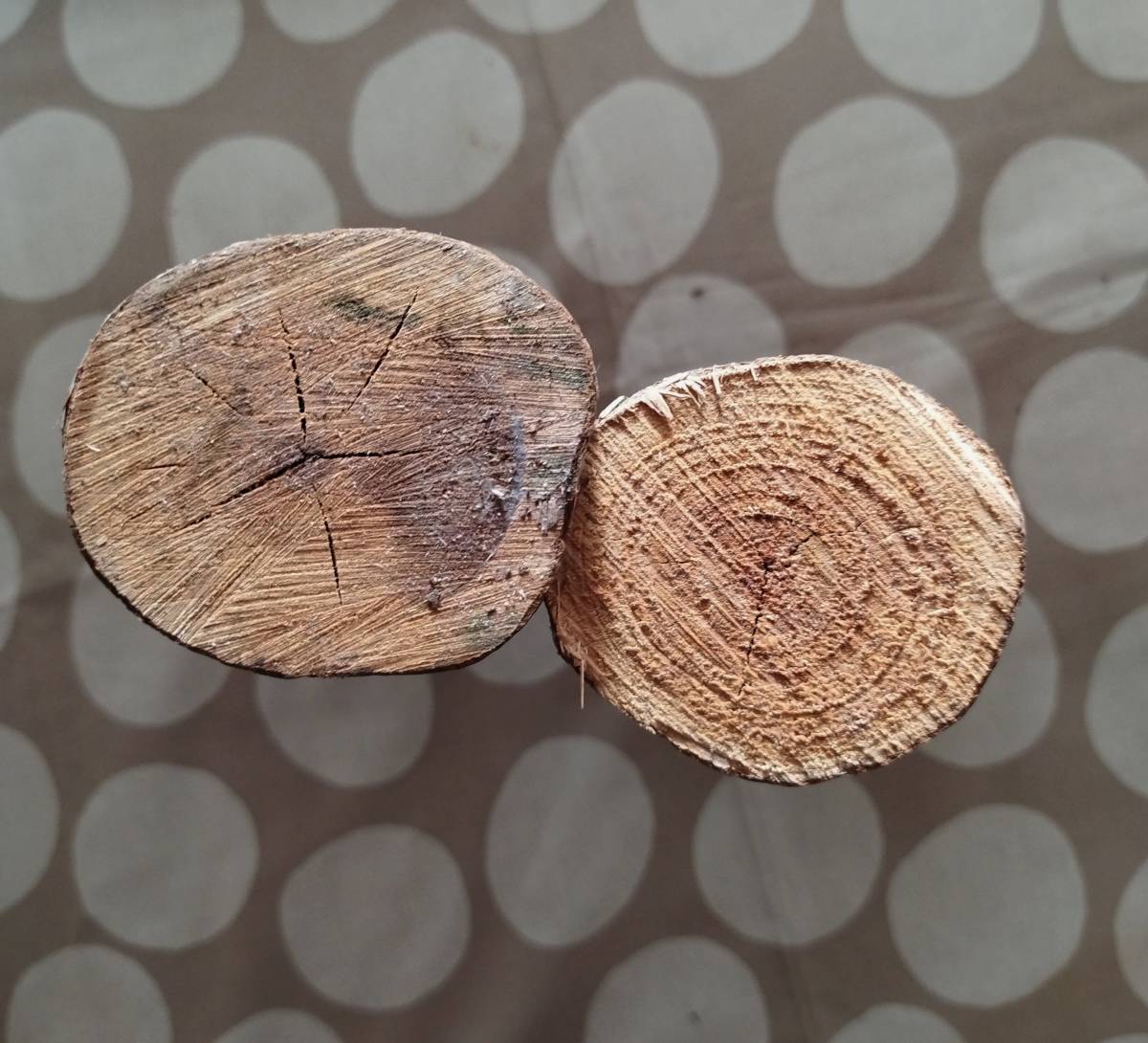 ハンノキの丸太　2本　木工細工・DIY作品の素材にいかがでしょうか。_画像5