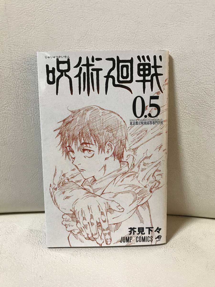 呪術廻戦 0-21巻+0.5巻+公式ファンブック 合計24冊 既刊全巻セット 