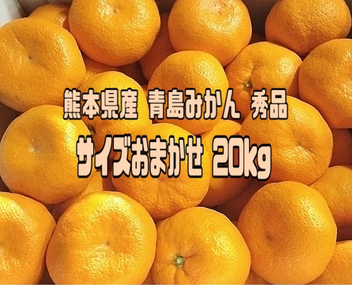 人気TOP 熊本県産 青島みかん 箱込20キロ 専用 ubat.fr