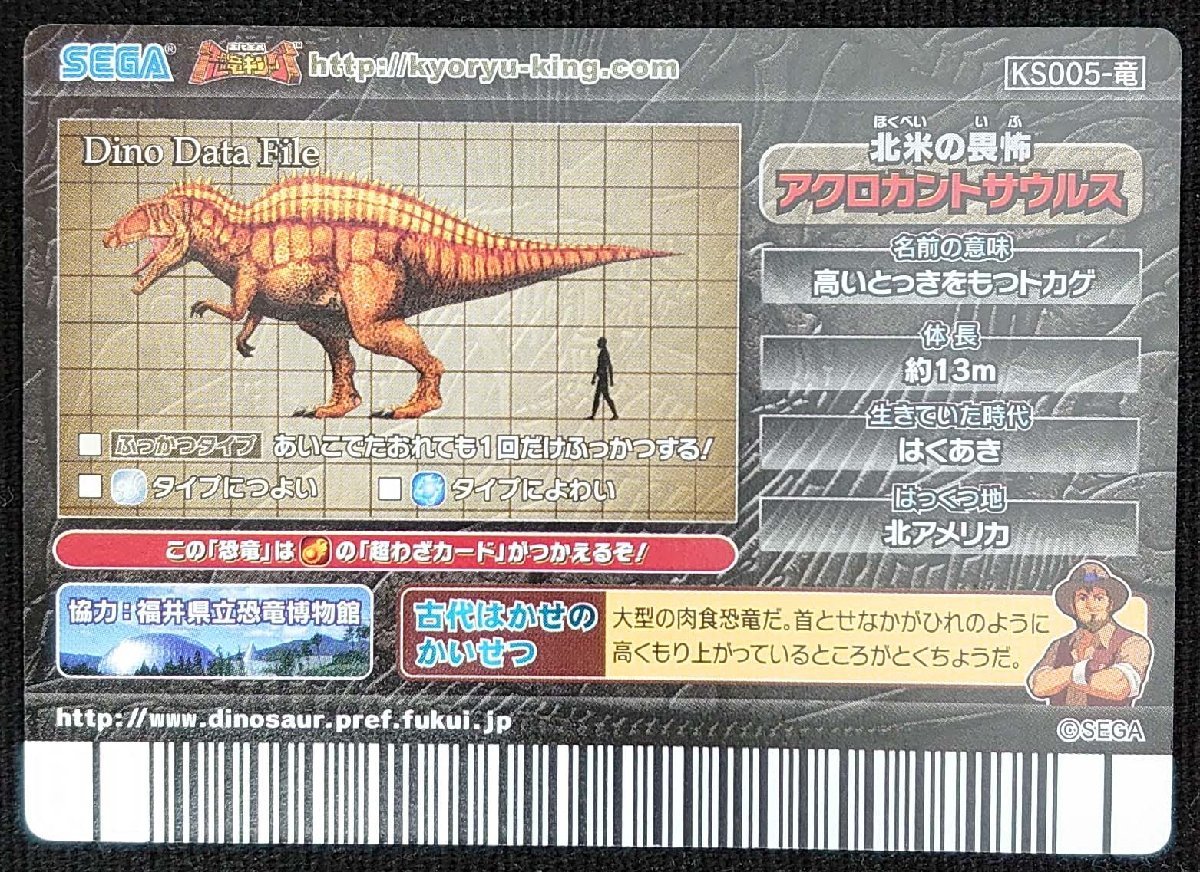 古代王者恐竜キング】アクロカントサウルス/ふっかつタイプ 古代王者恐竜キング】アクロカントサウルス/ふっかつタイプ