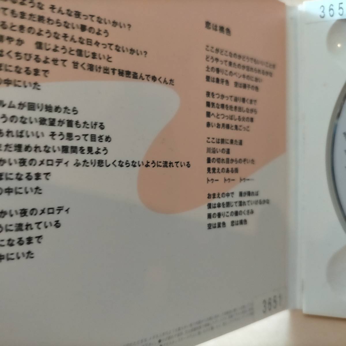 サニーデイサービス / 恋のメロディ・恋は桃色　レンタル品_画像4