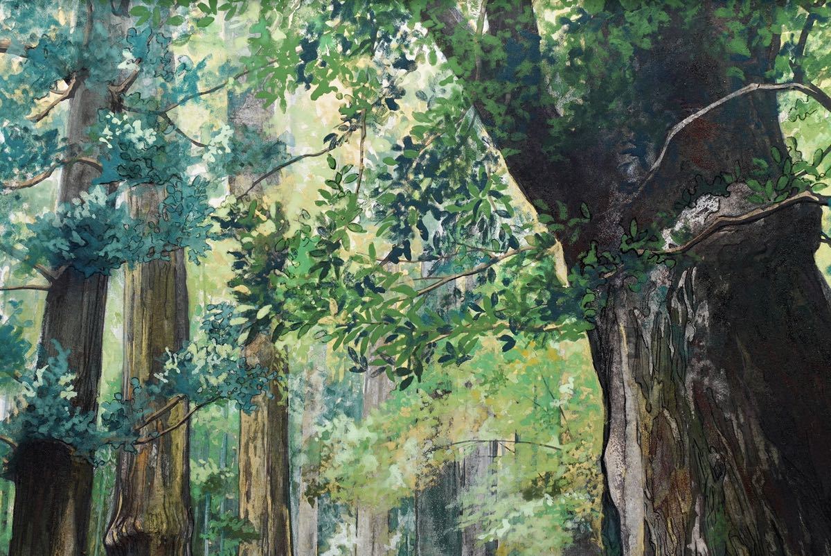 Yahoo!オークション - 【真作】藤井美加子「樹景ー熊野古道」日本画