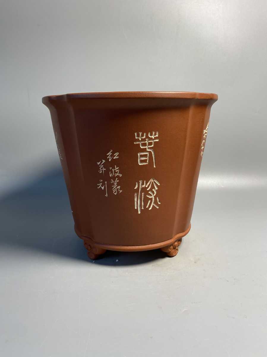 中国鉢 六角 盆栽