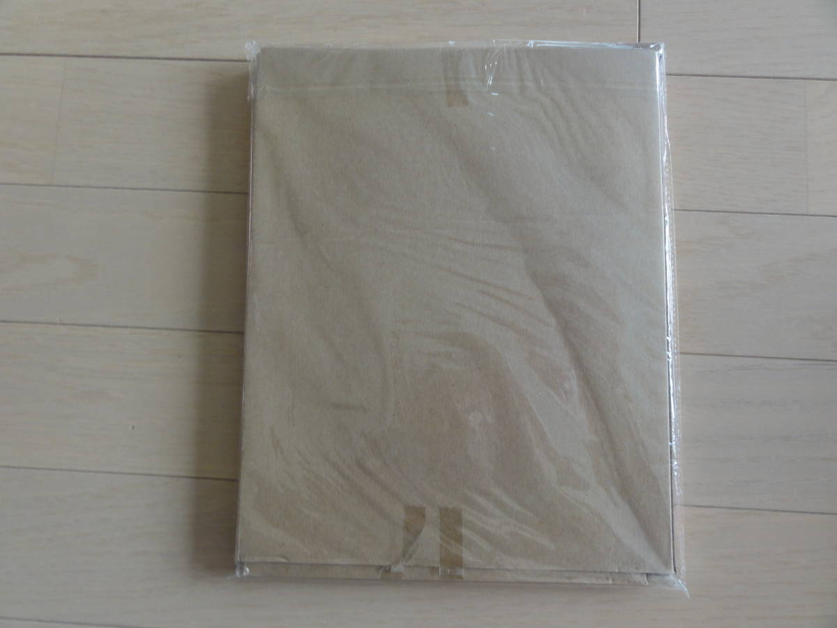  new goods rare Crystal Ball x NYLON JAPAN canvas tote bag hipi-x clover gray Rakuten books limitation color 