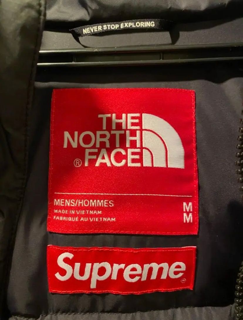 Supreme The North Face Faux Fur Nuptse | macslasierraabq.com